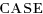 CASE